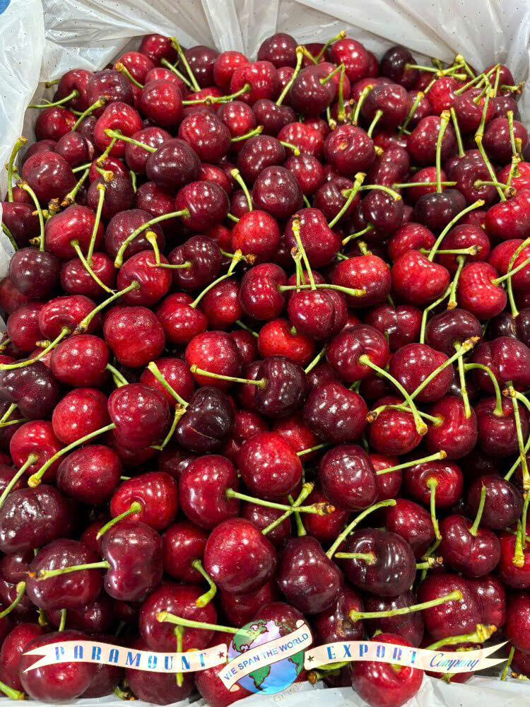 Cherry Mỹ đầu mùa